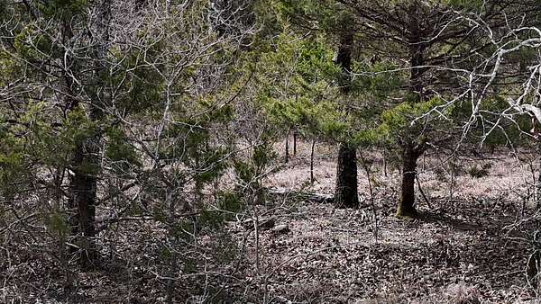 40 Acres of Recreational Land for Sale in Talihina, Oklahoma