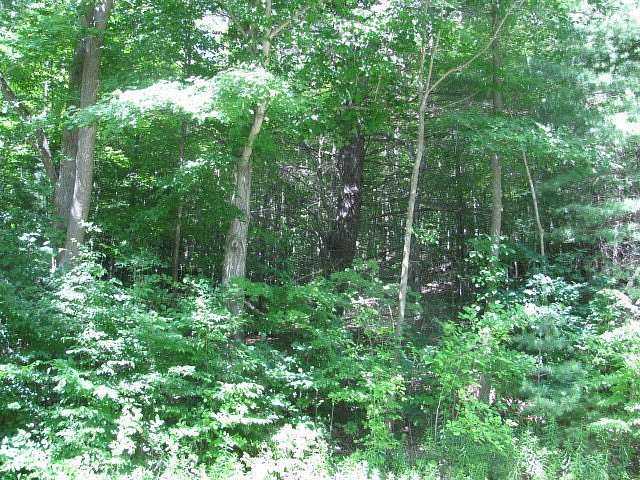 120 Acres of Recreational Land for Sale in Cohocton, New York