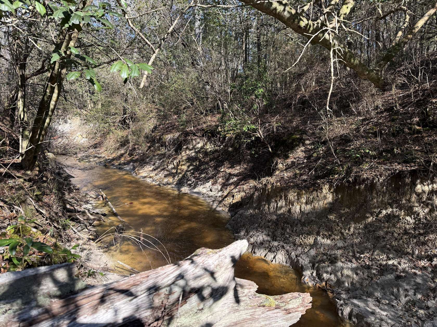 38 Acres of Land for Sale in Richton, Mississippi