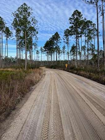 58 Acres of Recreational Land for Sale in Naylor, Georgia