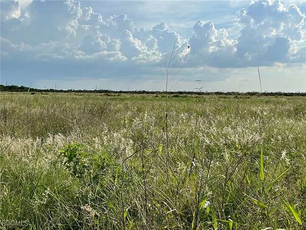 33.1 Acres of Agricultural & Residential Land for Sale in LaBelle, Florida