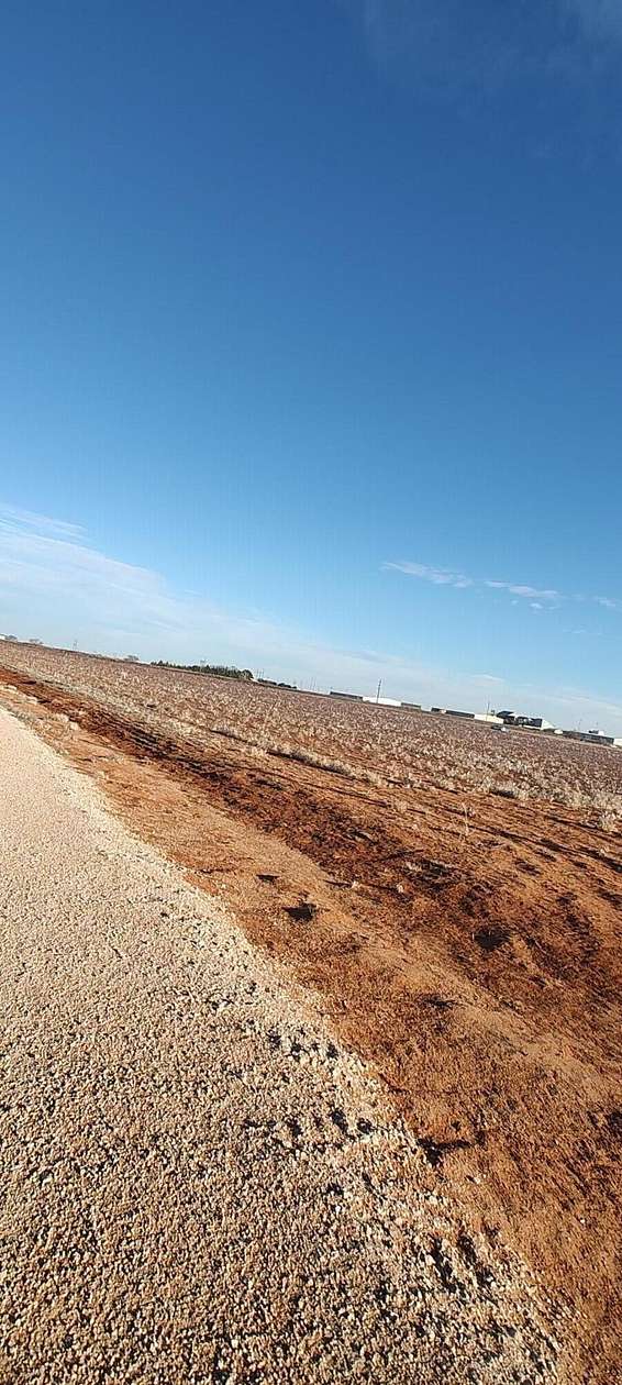 10 Acres of Land for Sale in Wellman, Texas
