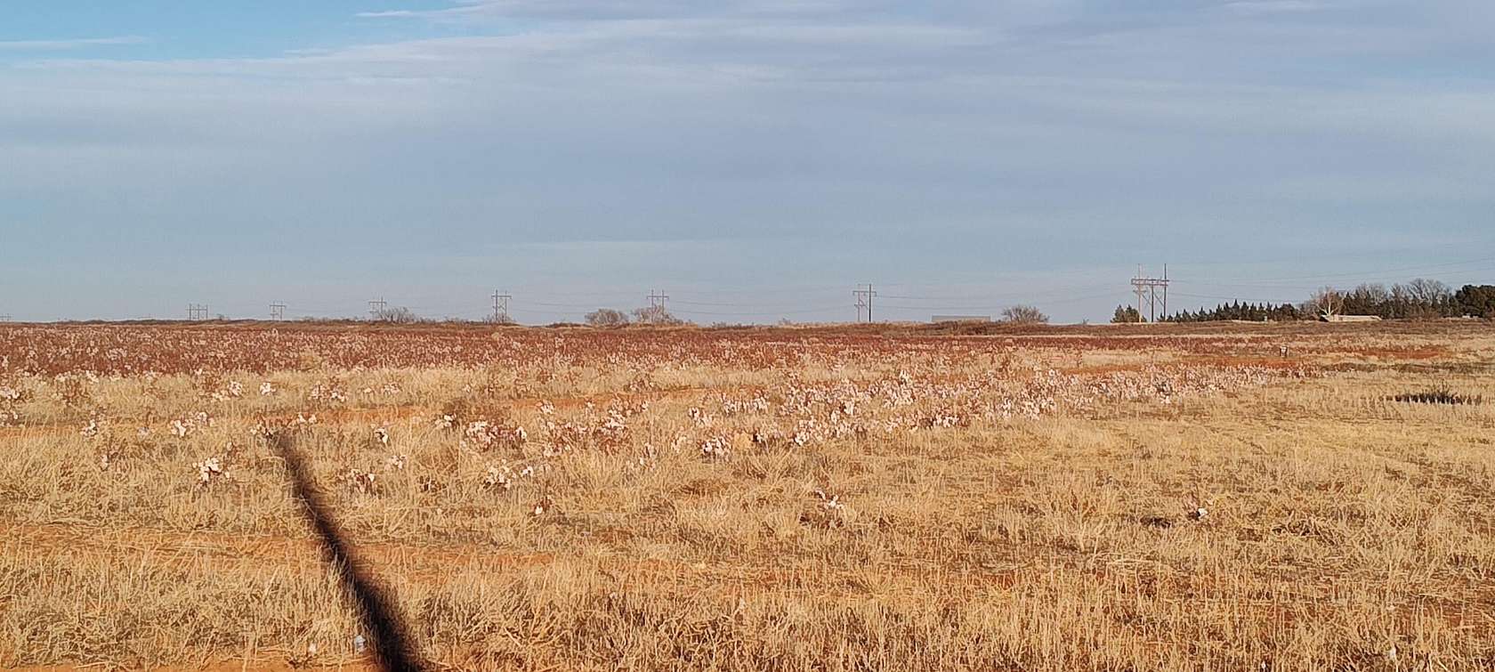 10 Acres of Residential Land for Sale in Wellman, Texas