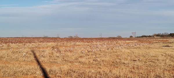10 Acres of Residential Land for Sale in Wellman, Texas