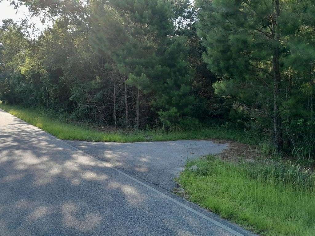 30.8 Acres of Land for Sale in Cross, South Carolina