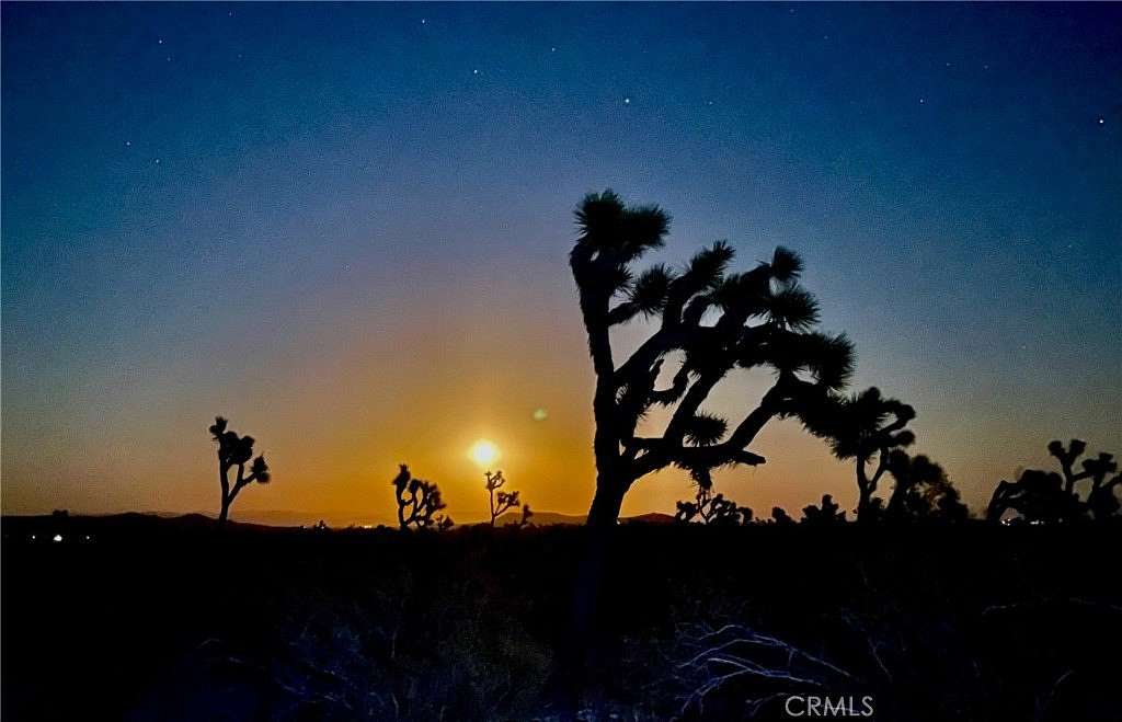 40 Acres of Land for Sale in Yucca Valley, California