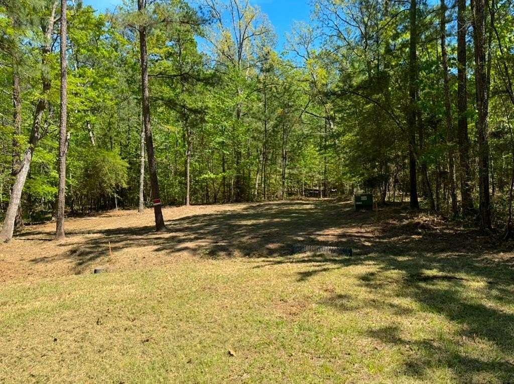 0.46 Acres of Land for Sale in Brookeland, Texas