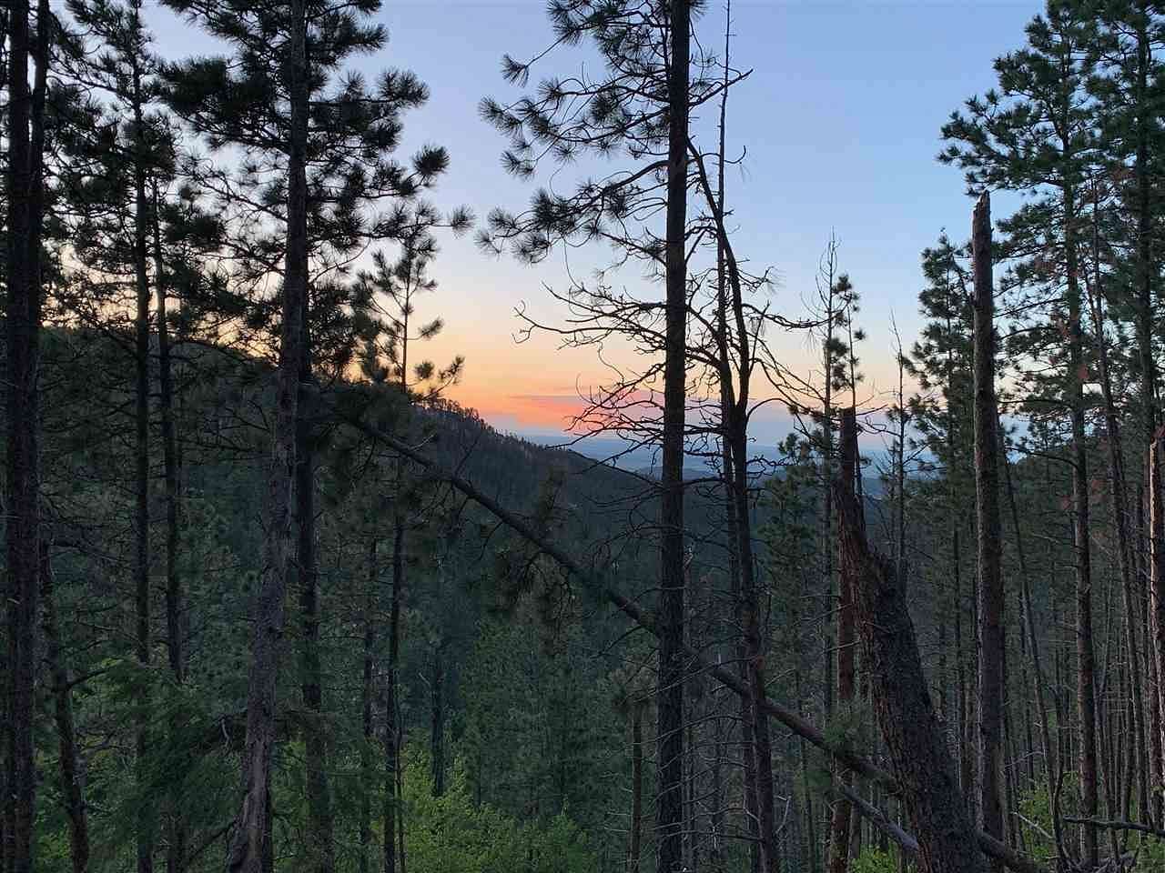 19.7 Acres of Recreational & Residential Land for Sale in Lead, South Dakota