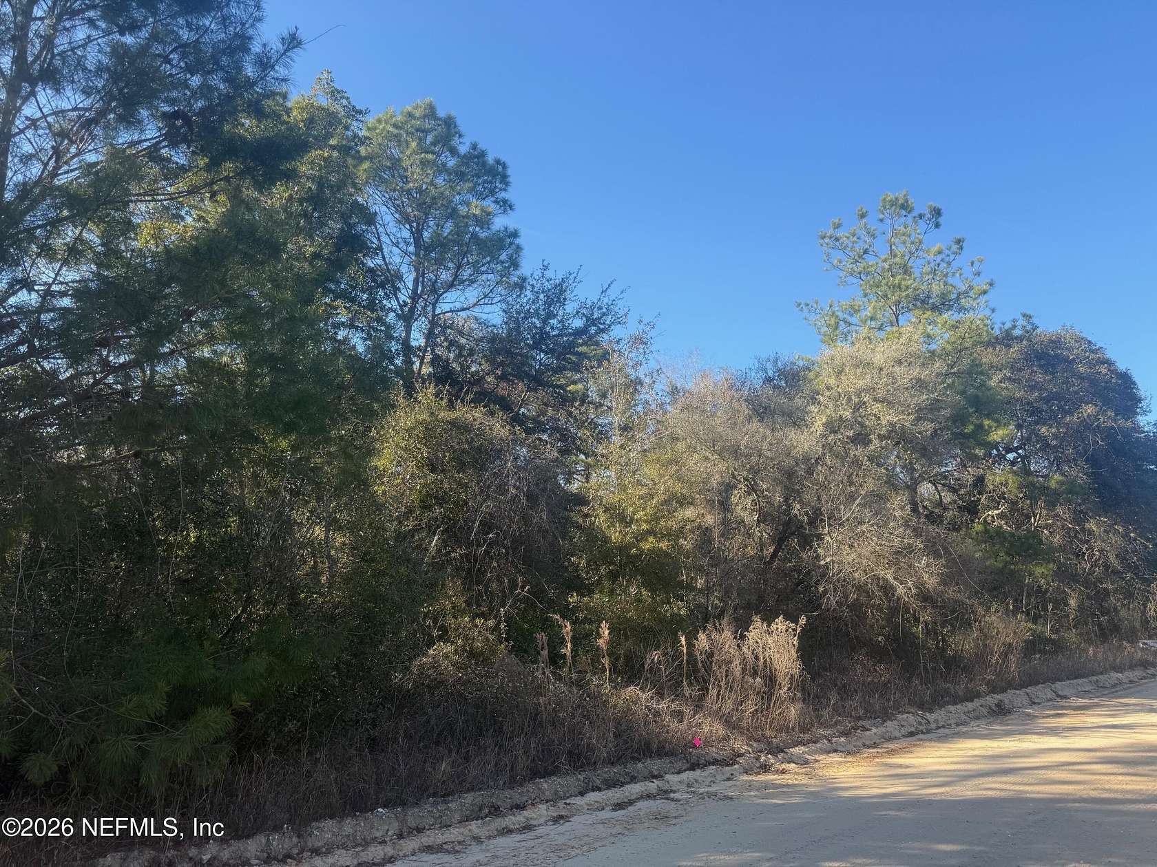 2 Acres of Land for Sale in Florahome, Florida