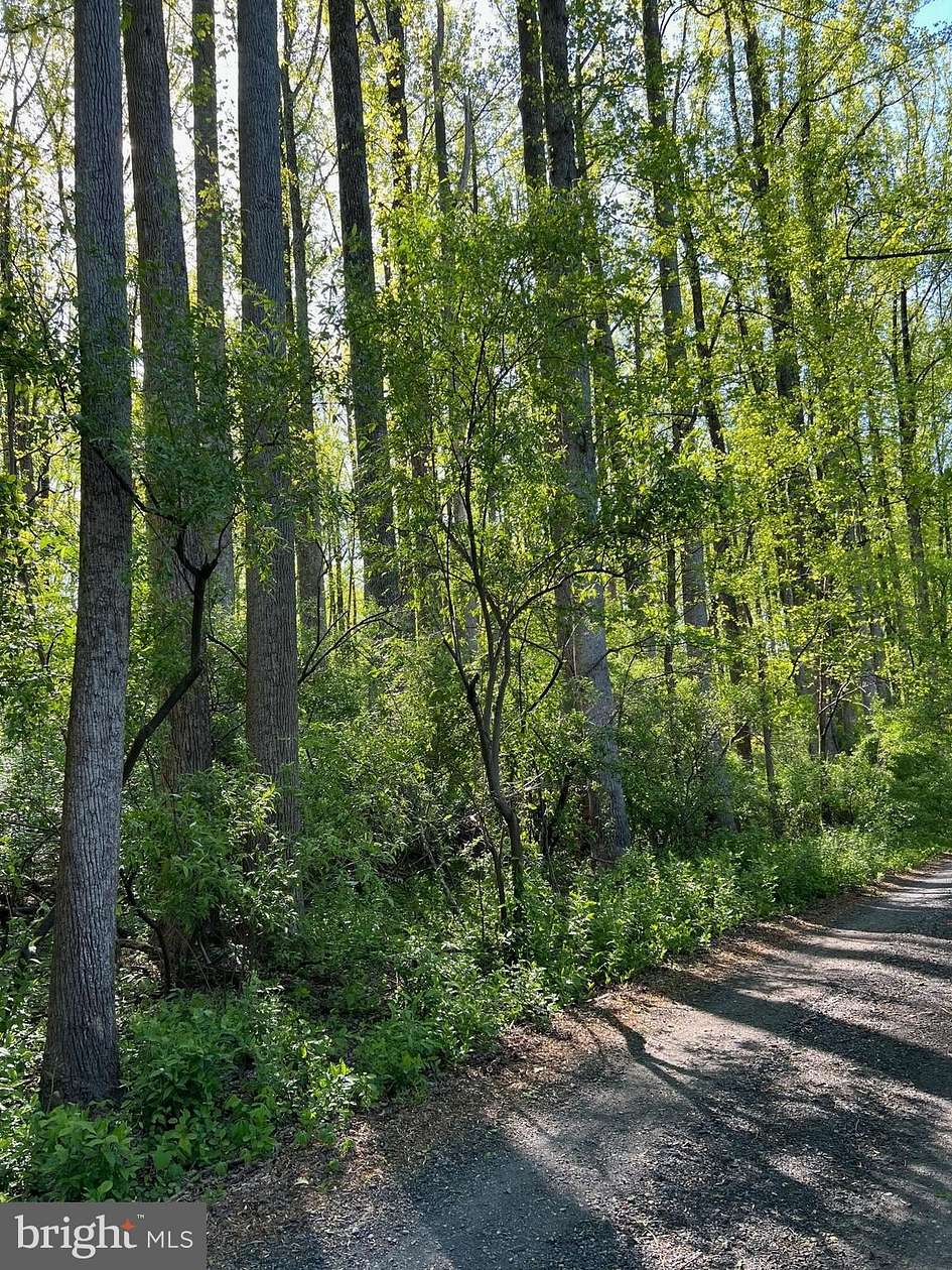 10 Acres of Land for Sale in The Plains, Virginia