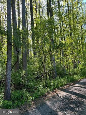 10 Acres of Land for Sale in The Plains, Virginia