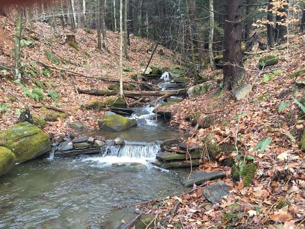 50 Acres of Land for Sale in Reading Town, Vermont