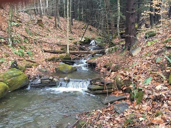 50 Acres of Land for Sale in Reading Town, Vermont