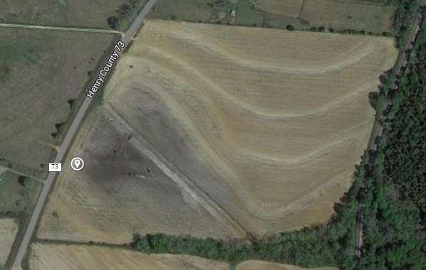 27 Acres of Land for Sale in Newville, Alabama