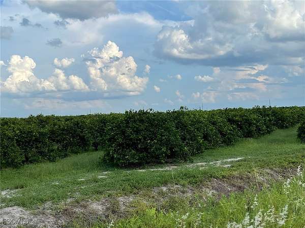 72.3 Acres of Agricultural & Residential Land for Sale in LaBelle, Florida