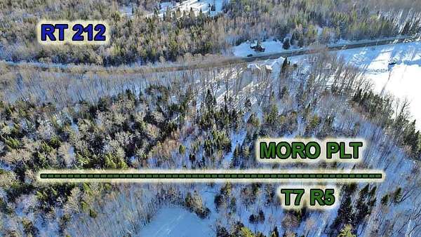 40 Acres of Recreational Land with Home for Sale in Moro Plantation, Maine