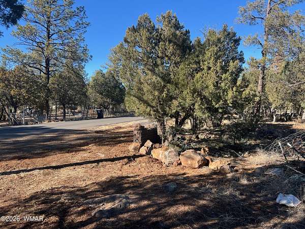 0.8 Acres of Residential Land for Sale in Lakeside, Arizona