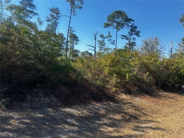 0.24 Acres of Residential Land for Sale in Lehigh Acres, Florida