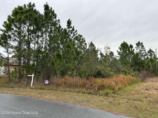 0.23 Acres of Residential Land for Sale in Palm Bay, Florida