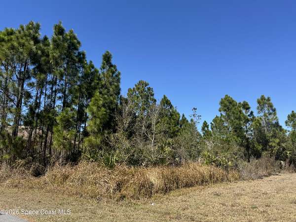 0.23 Acres of Residential Land for Sale in Palm Bay, Florida