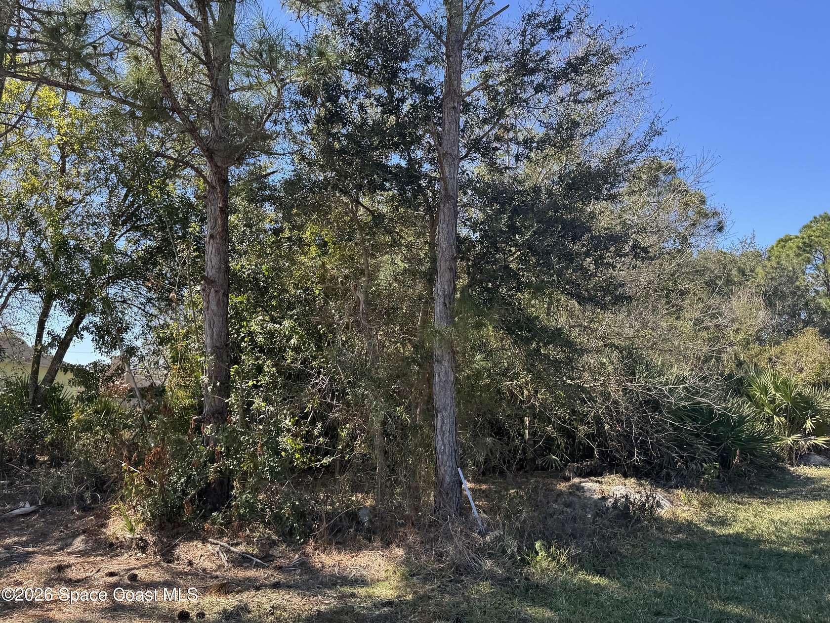 0.24 Acres of Residential Land for Sale in Palm Bay, Florida