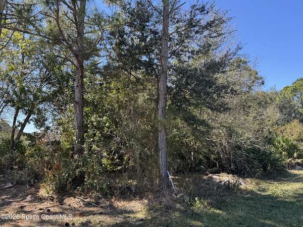 0.24 Acres of Residential Land for Sale in Palm Bay, Florida