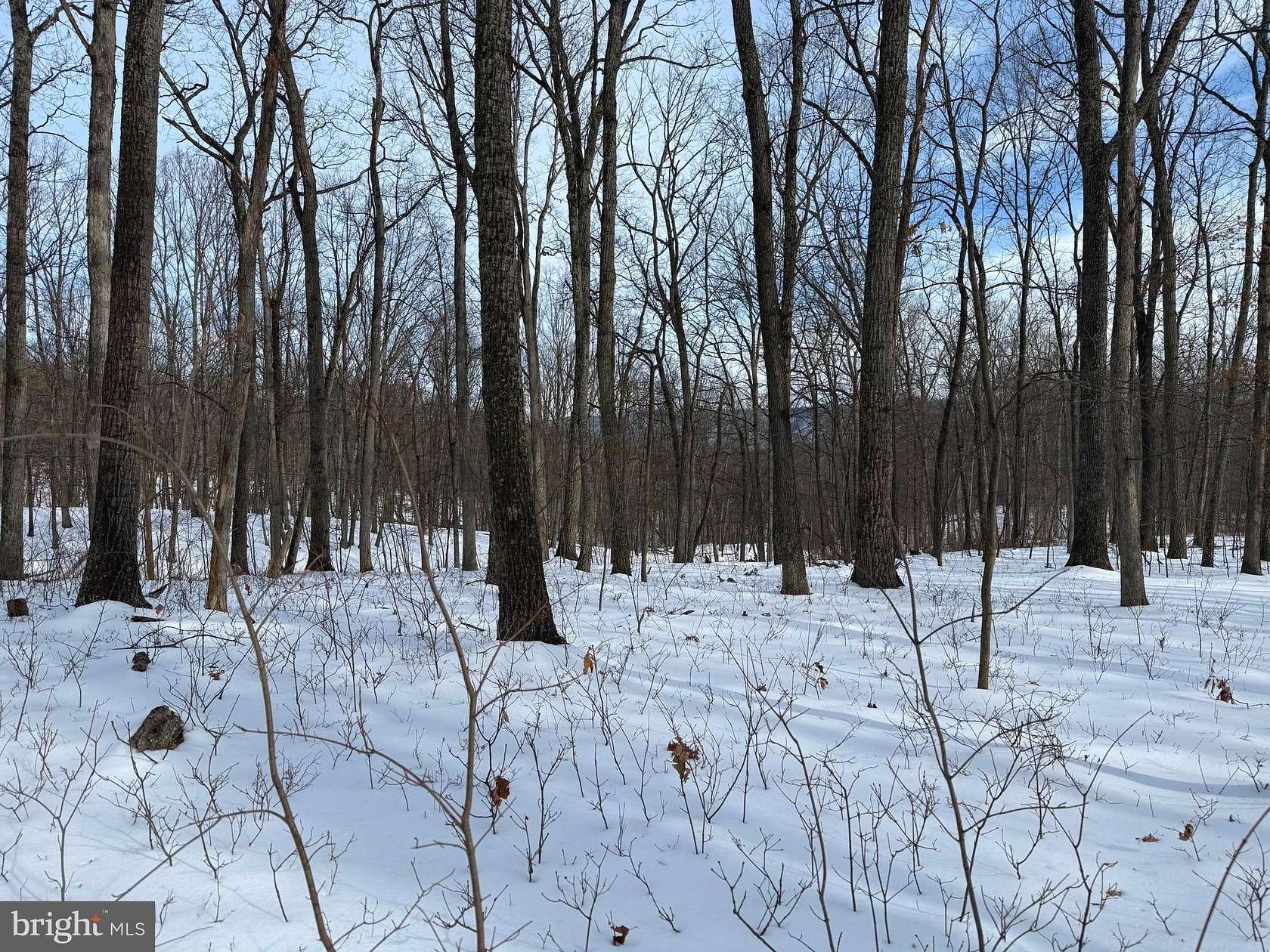 2.67 Acres of Land for Sale in Delray, West Virginia