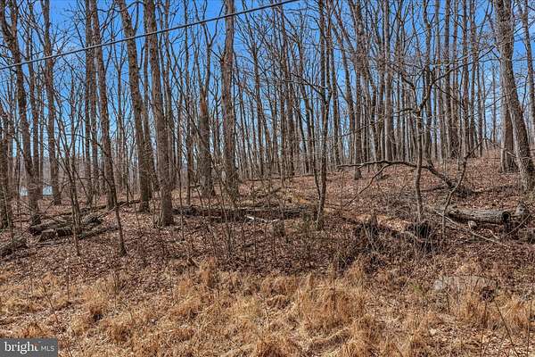 2.67 Acres of Land for Sale in Delray, West Virginia