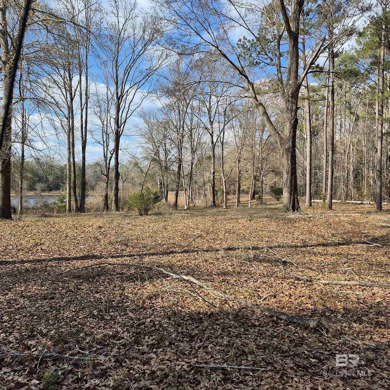 55 Acres of Recreational Land for Sale in Evergreen, Alabama