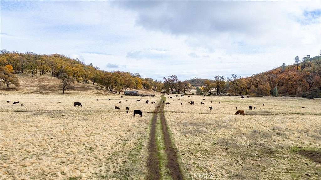 220 Acres of Recreational Land & Farm for Sale in Lower Lake, California