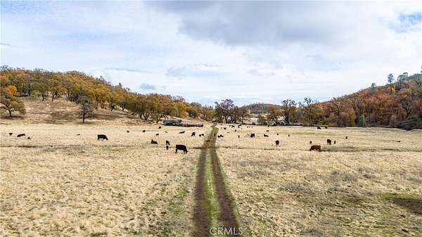 220 Acres of Agricultural Land for Sale in Lower Lake, California