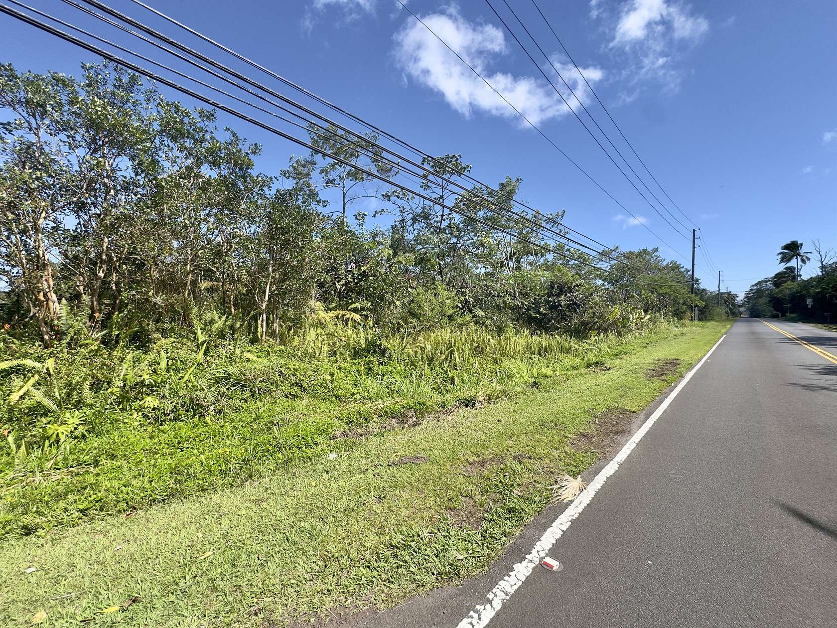 1 Acre of Land for Sale in Pahoa, Hawaii