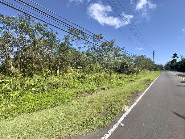 1 Acre of Land for Sale in Pahoa, Hawaii
