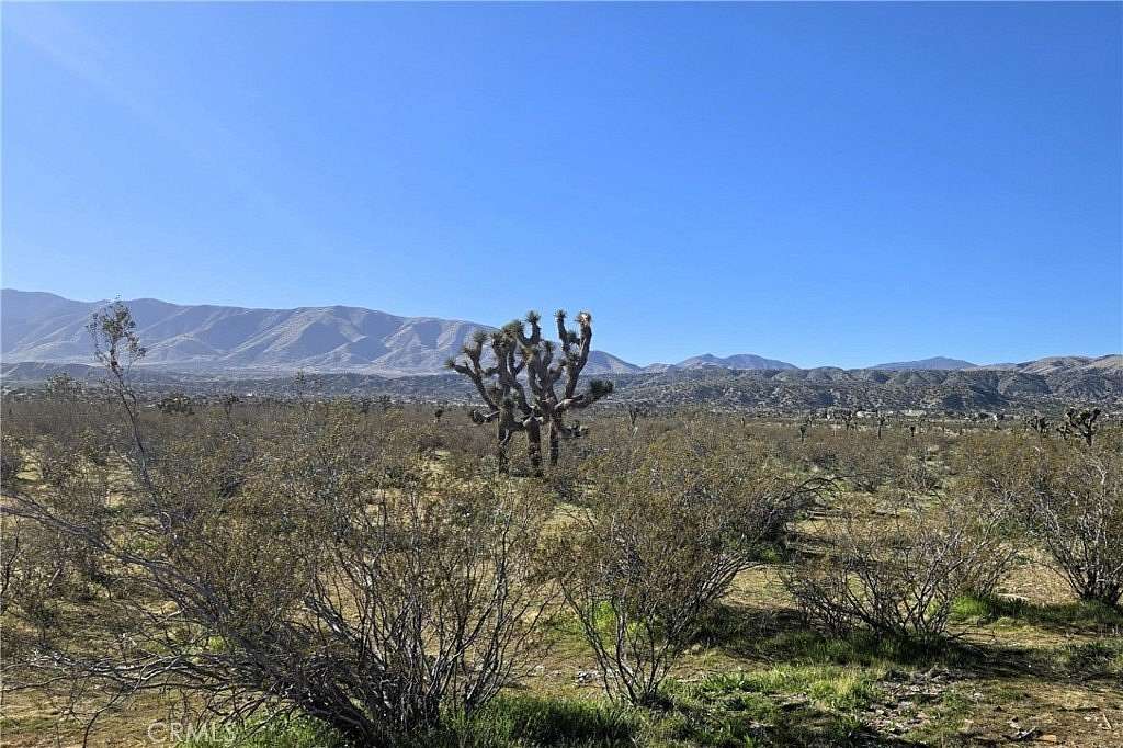 1.26 Acres of Residential Land for Sale in Pearblossom, California