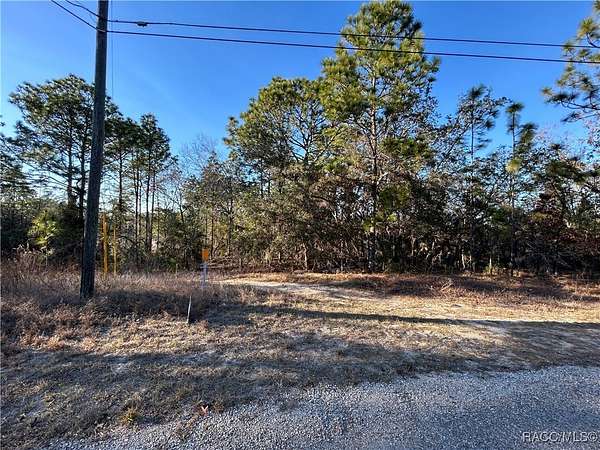 0.33 Acres of Residential Land for Sale in Citrus Springs, Florida