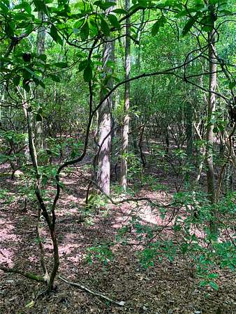 1.13 Acres of Land for Sale in Brevard, North Carolina