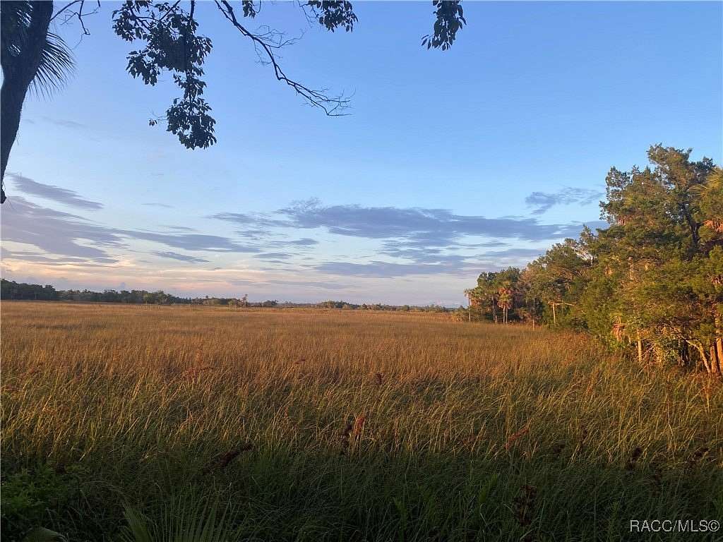0.42 Acres of Residential Land for Sale in Homosassa, Florida