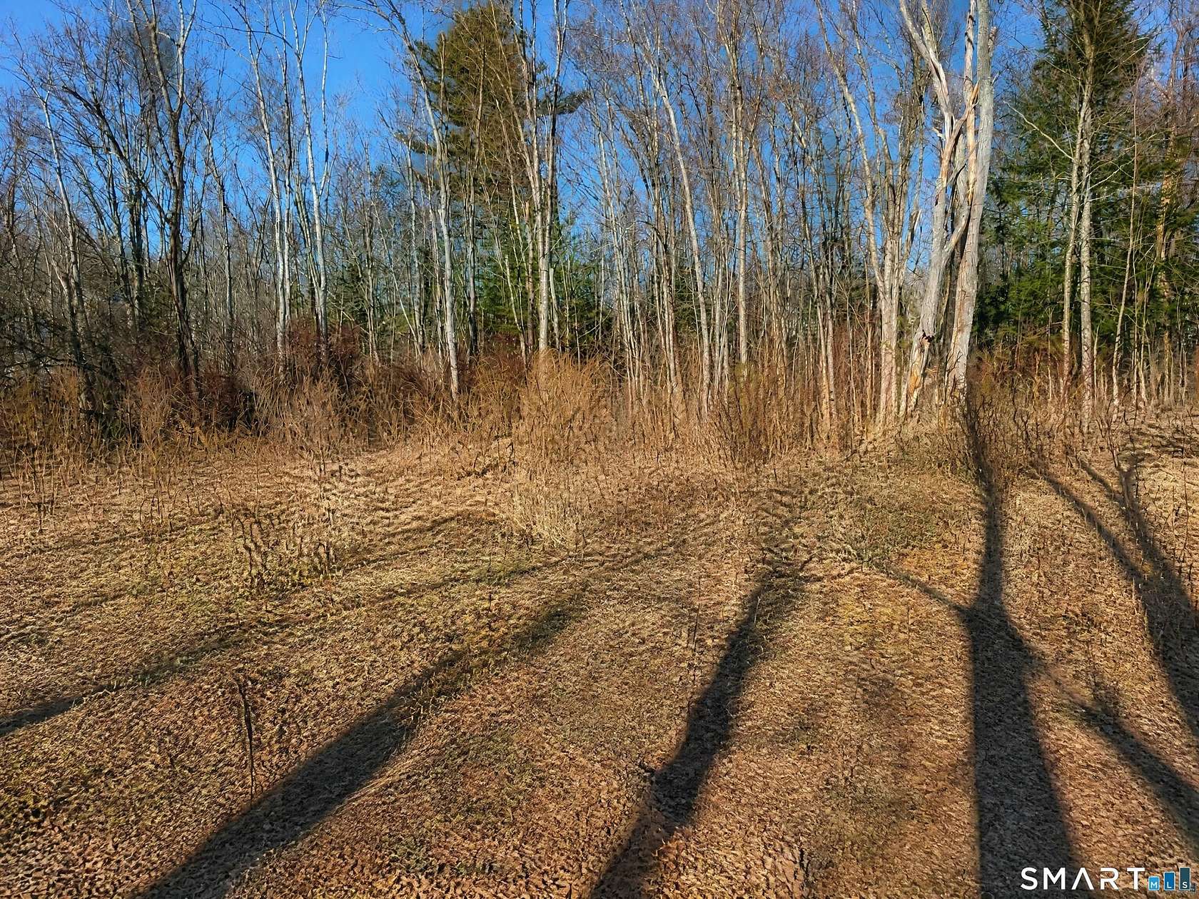 3.36 Acres of Residential Land for Sale in Torrington, Connecticut