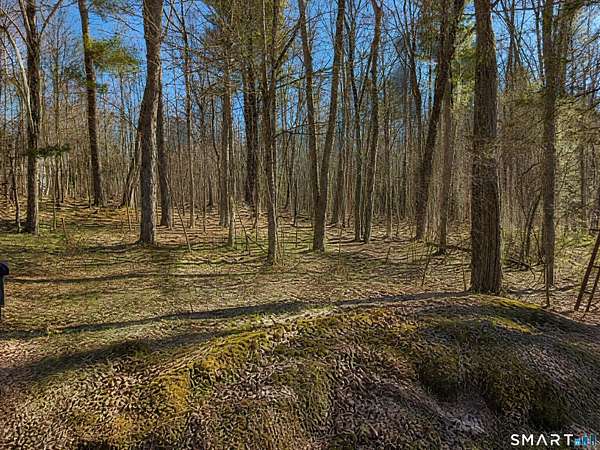 1.24 Acres of Residential Land for Sale in Torrington, Connecticut