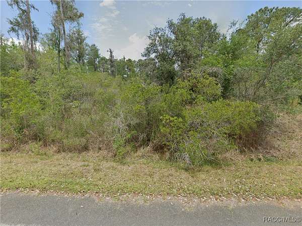 1.26 Acres of Land for Sale in Crystal River, Florida
