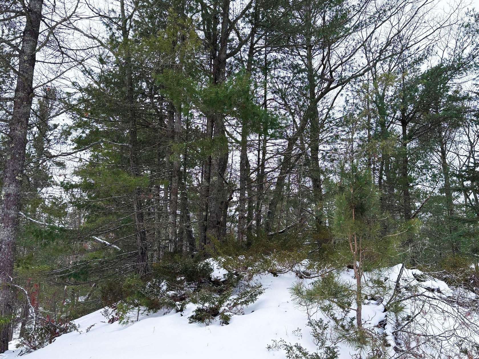 0.34 Acres of Residential Land for Sale in Rogers City, Michigan