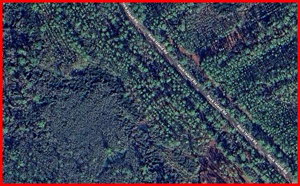 36.7 Acres of Recreational Land for Sale in Perry, Florida