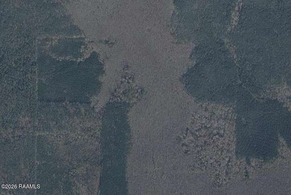 40 Acres of Recreational Land for Sale in Forest Hill, Louisiana