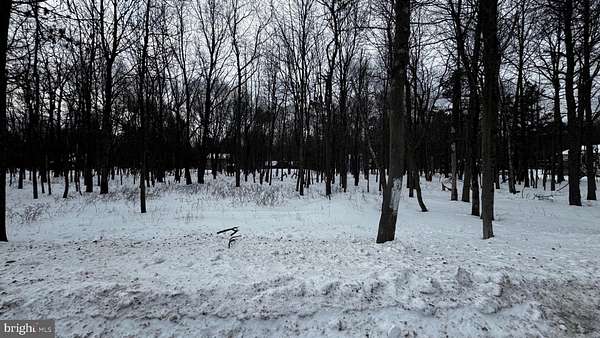 0.43 Acres of Residential Land for Sale in Albrightsville, Pennsylvania