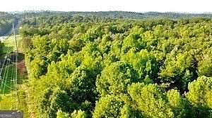 18.6 Acres of Land for Sale in Dawsonville, Georgia