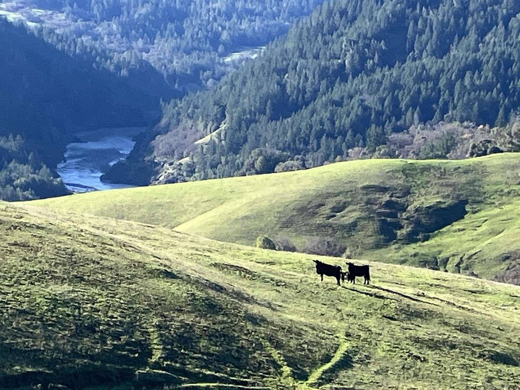 3,863 Acres of Recreational Land & Farm for Sale in Blocksburg, California