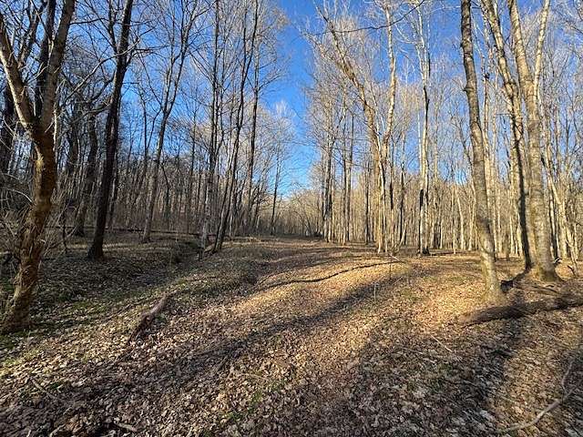 96 Acres of Recreational Land for Sale in Columbia, Tennessee
