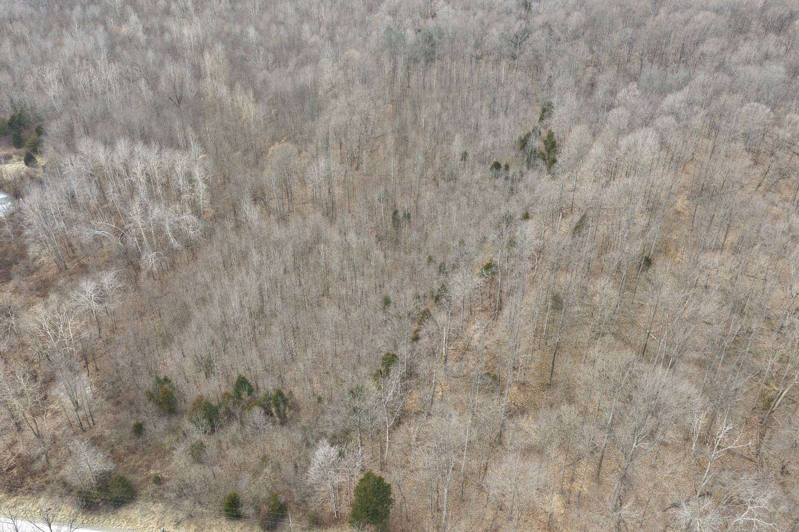 10 Acres of Recreational Land for Sale in Freedom, Indiana