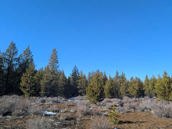 13.7 Acres of Land for Sale in Bend, Oregon