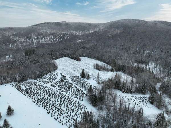 630 Acres of Recreational Land for Sale in Columbia, New Hampshire